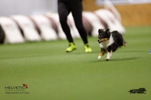 EH8A7318_DxO