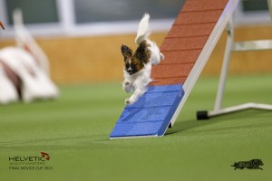 EH8A7353_DxO