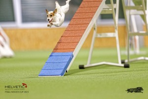 EH8A7412_DxO