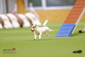 EH8A7418_DxO