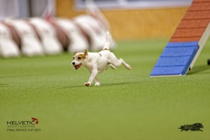 EH8A7419_DxO