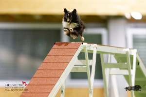 EH8A7435_DxO