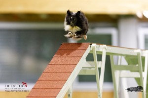EH8A7436_DxO-1