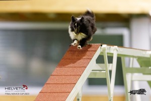 EH8A7437_DxO