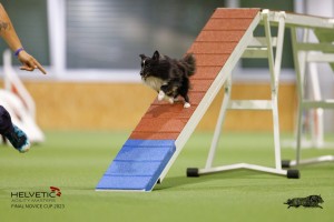 EH8A7444_DxO