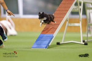 EH8A7445_DxO