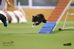 EH8A7448_DxO