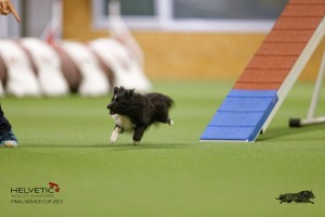 EH8A7451_DxO
