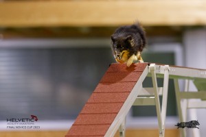 EH8A7463_DxO