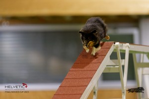 EH8A7464_DxO