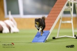 EH8A7472_DxO
