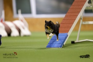 EH8A7473_DxO
