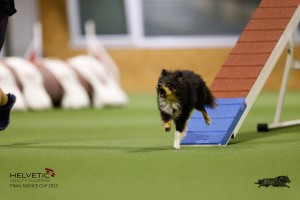 EH8A7474_DxO