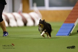 EH8A7477_DxO