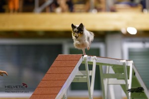 EH8A7489_DxO