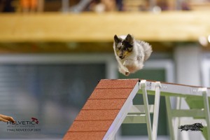 EH8A7490_DxO
