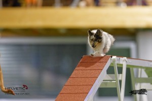 EH8A7491_DxO