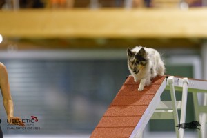 EH8A7492_DxO