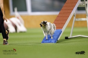 EH8A7501_DxO