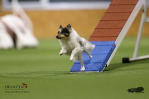 EH8A7502_DxO