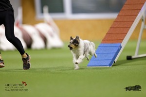 EH8A7503_DxO