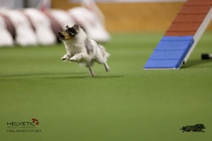 EH8A7507_DxO