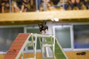 EH8A7511_DxO