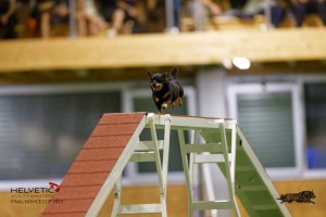EH8A7516_DxO