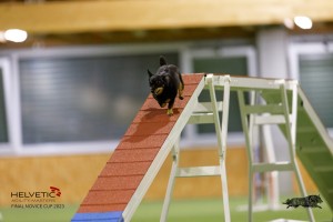 EH8A7521_DxO
