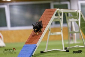 EH8A7524_DxO