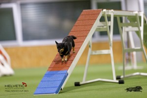 EH8A7525_DxO