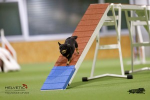 EH8A7526_DxO