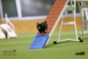 EH8A7527_DxO
