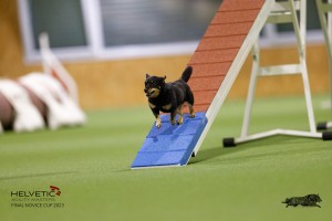EH8A7528_DxO