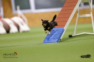 EH8A7529_DxO
