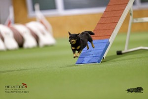 EH8A7530_DxO