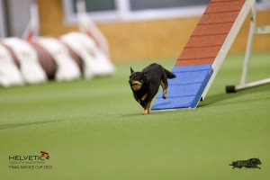 EH8A7531_DxO