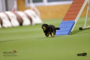 EH8A7532_DxO