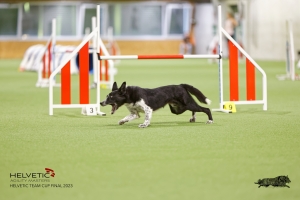 1T0A2508_DxO