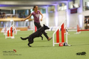 1T0A2725_DxO-2