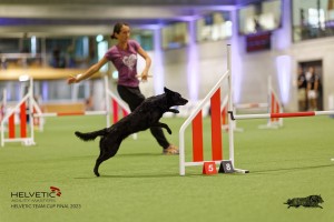 1T0A2726_DxO