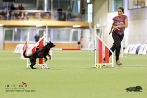 1T0A2769_DxO