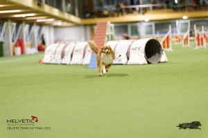 1T0A2855_DxO
