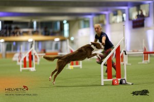 1T0A3496_DxO