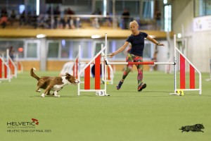 1T0A3528_DxO