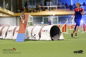 1T0A3567_DxO