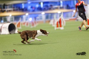 1T0A3596_DxO