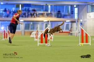 1T0A3690_DxO