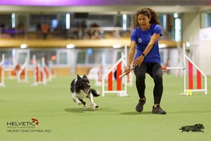1T0A3720_DxO