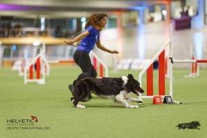 1T0A3739_DxO